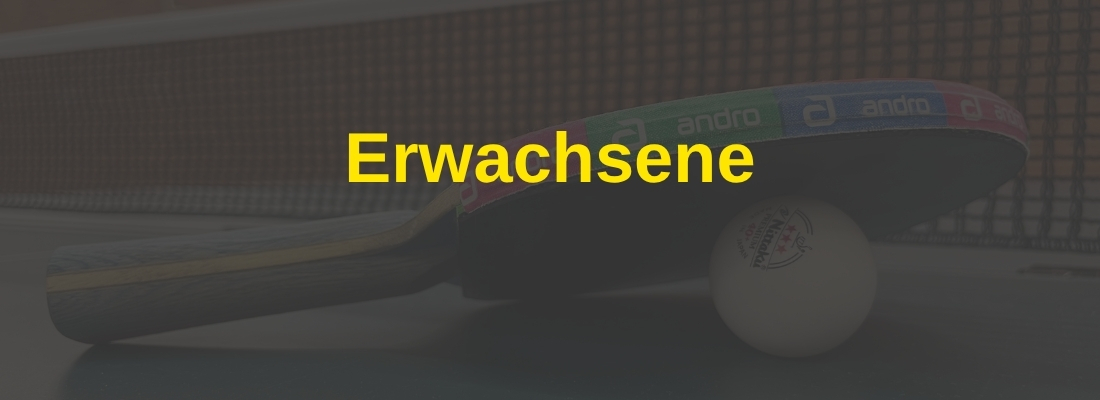 Meisterschaftsspiel der Erwachsenen